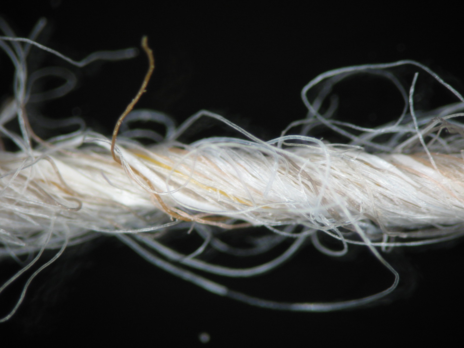 A magnified view of a section of yarn
